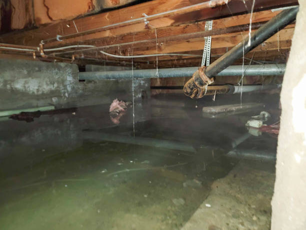 Reliable SD Water damage restoration Solutions