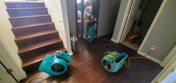 Best Water damage cleanup near me  in Fort Thompson, SD
