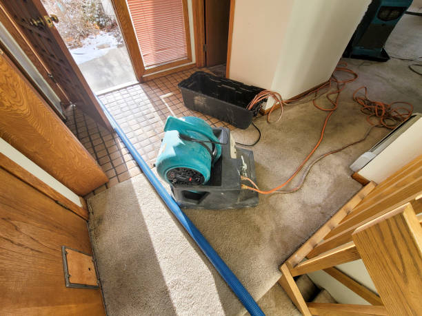 Best Professional water damage repair  in Fort Thompson, SD
