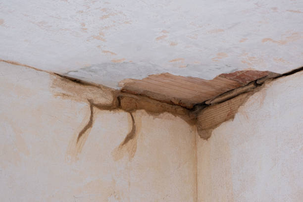 Best Sewage cleanup and water damage restoration  in Fort Thompson, SD
