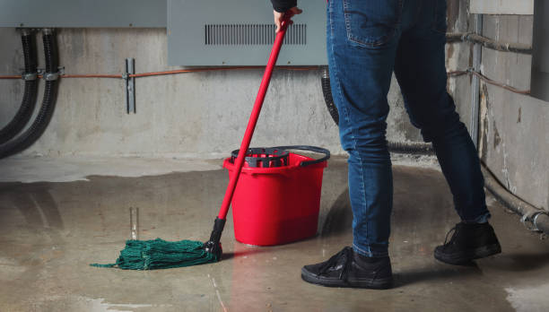 Best Water damage contractors near me  in Fort Thompson, SD