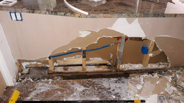 Best Ceiling water damage repair  in Fort Thompson, SD