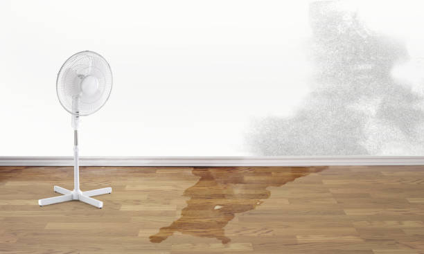 Best Local water damage restoration  in Fort Thompson, SD