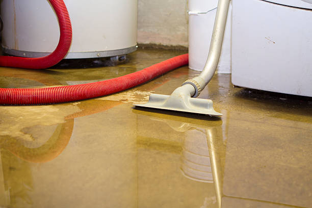  Fort Thompson, SD Water damage restoration Pros