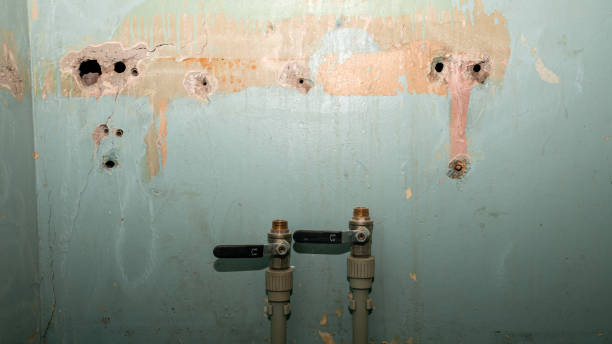 Best Ceiling water damage repair  in Fort Thompson, SD