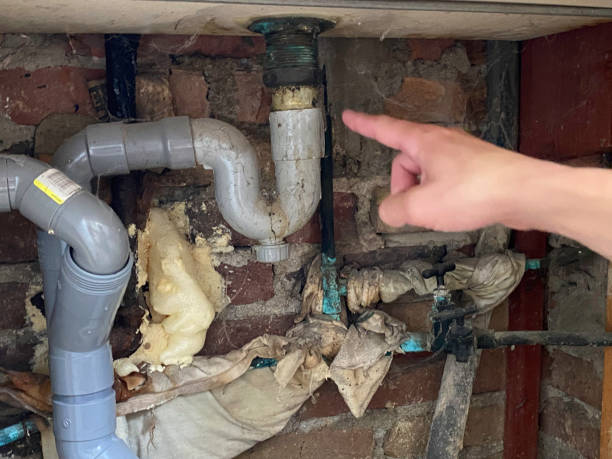 Best Mold removal after water damage  in Fort Thompson, SD